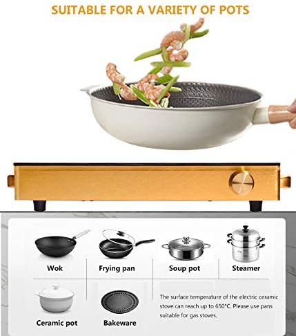 3500W Induction Hob, Portable Electric Induction Plate Techmanistan