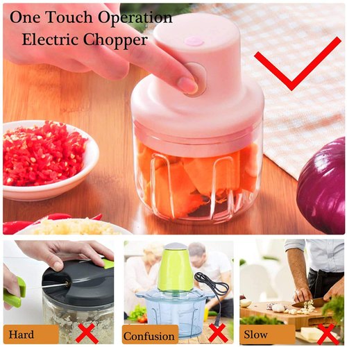 250 ML Mini Electric Garlic Chopper Techmanistan