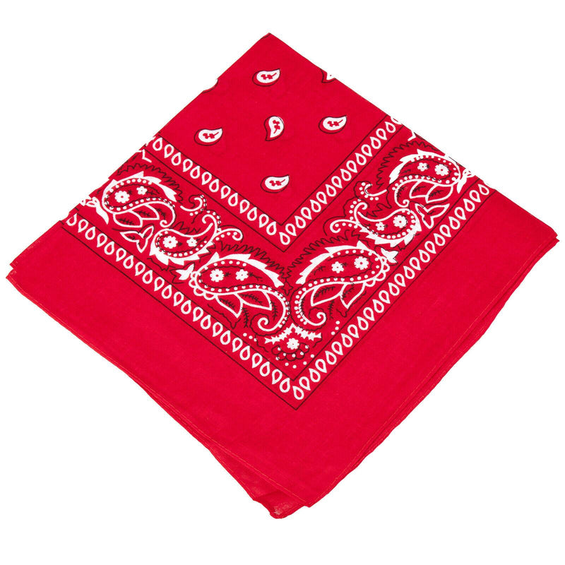 Paisley Printed Ethnic Style Unisex Bandana Headband