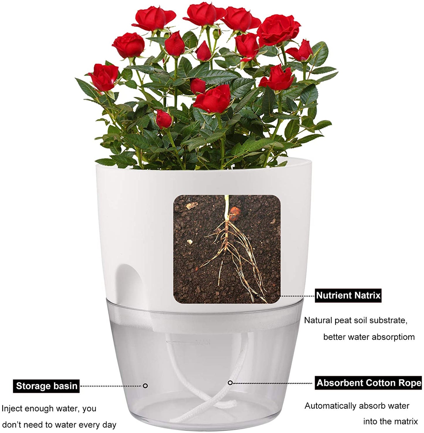 Indoor Plastic Self Watering Flower Pot With Cotton Rope & Container For Water My Store