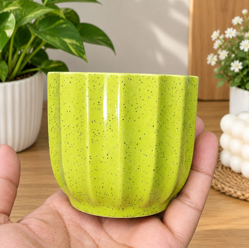 Ceramic Vase | Small Plant Pot