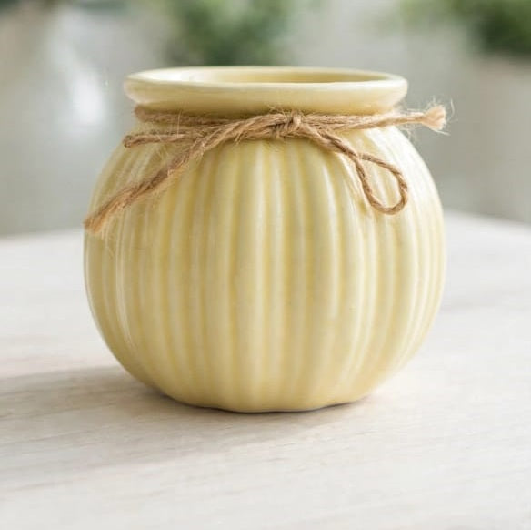 Ceramic Vase | Small Plant Pot