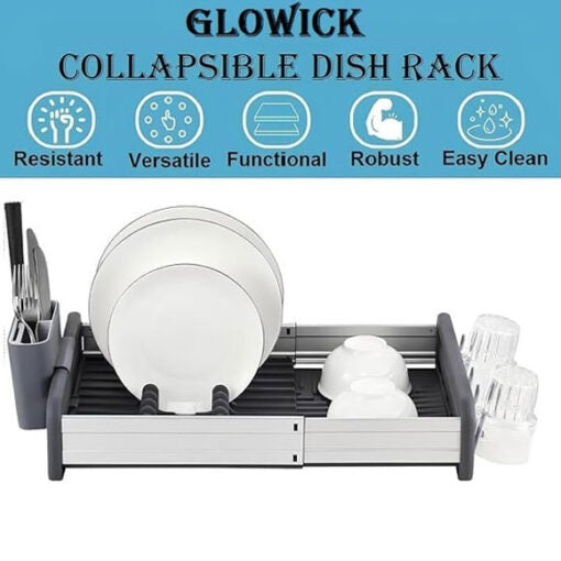 Expandable Dish Rack with Drainage Spout