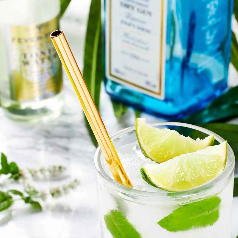Pack of 5 - Different Diameters Stainless Steel Reusable Drinking Straws With Cleaning Brush - Techmanistan in Pakistan