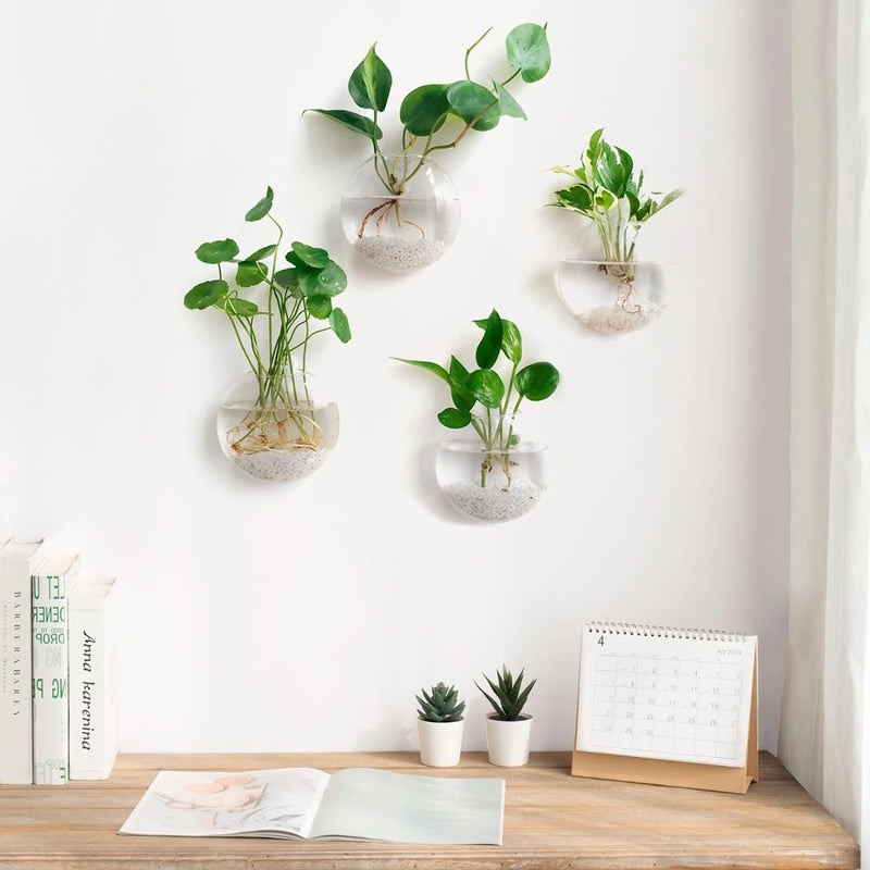 Wall Mounted Hanging Glass Vase - Techmanistan in Pakistan