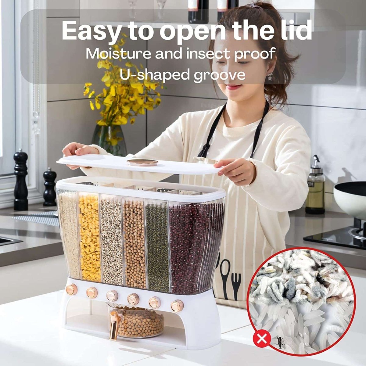 10 Kg Capacity Grain Food Dispenser - Techmanistan