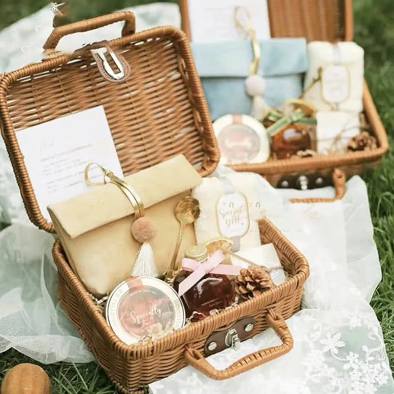 Plastic Rattan Storage Basket With Handle Suitcase Box Techmanistan