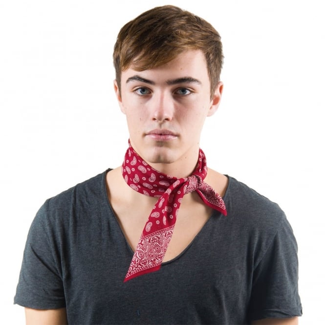 Paisley Printed Ethnic Style Unisex Bandana Headband