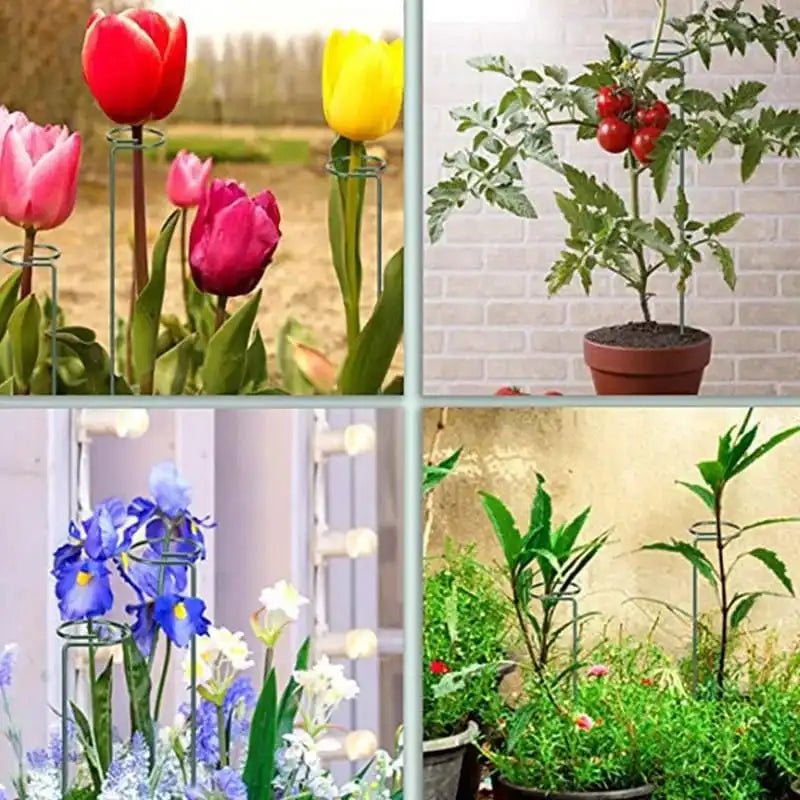 20 Inches Long Plant Support Stakes - Techmanistan in Pakistan