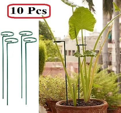 20 Inches Long Plant Support Stakes - Techmanistan in Pakistan
