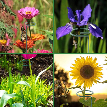 20 Inches Long Plant Support Stakes - Techmanistan in Pakistan