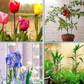 20 Inches Long Plant Support Stakes - Techmanistan in Pakistan
