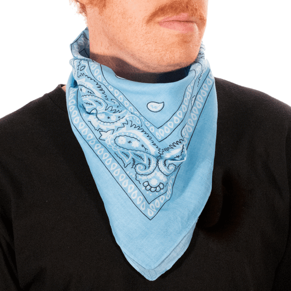 2d9012e65204bf5ffe8dd71c2e1e7c74