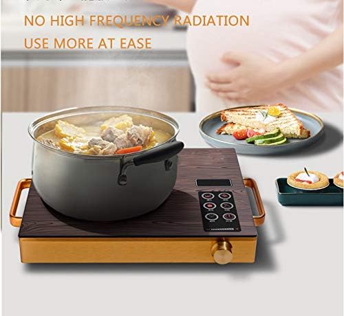 3500W Induction Hob, Portable Electric Induction Plate Techmanistan