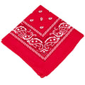 Paisley Printed Ethnic Style Unisex Bandana Headband