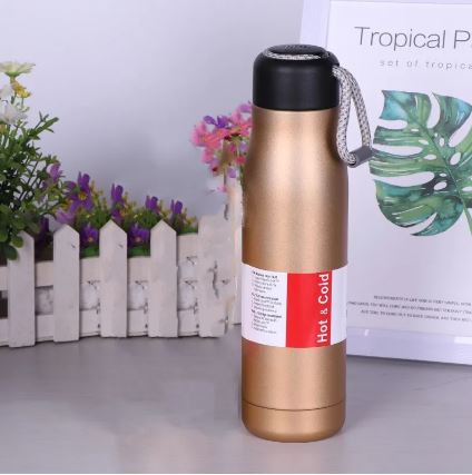 500ml Vacuum Insulated Water Flask - Techmanistan in Pakistan