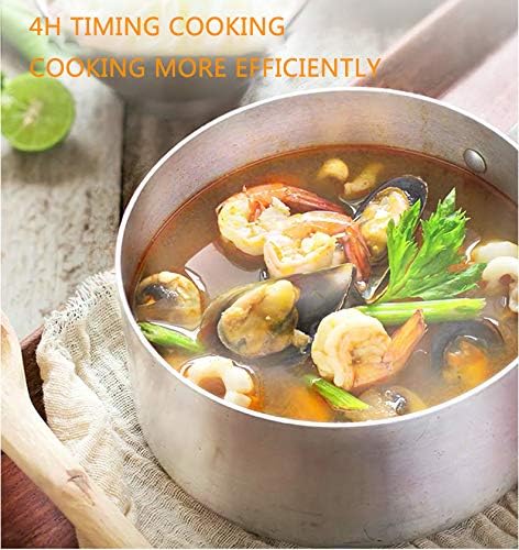 3500W Induction Hob, Portable Electric Induction Plate Techmanistan