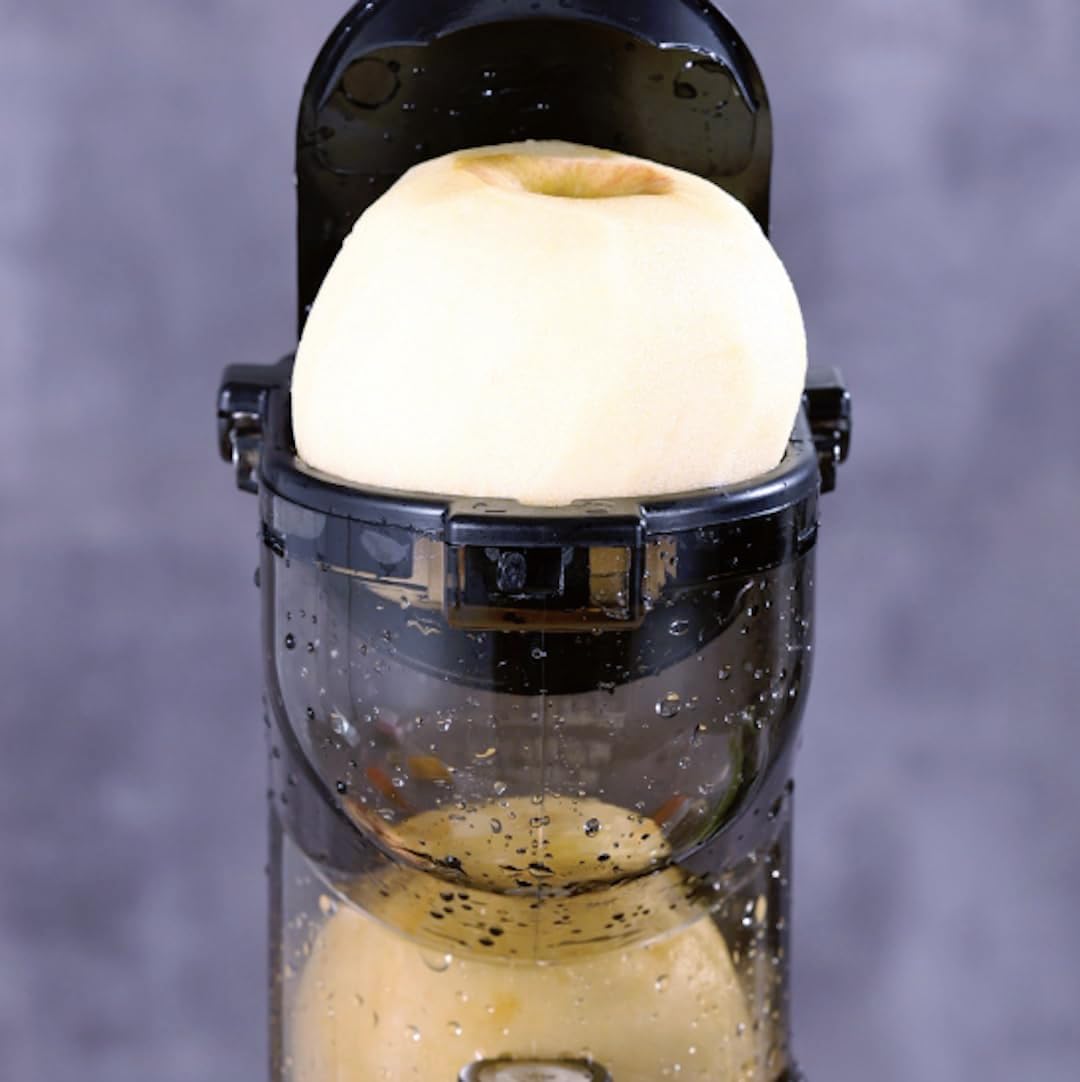 Juice Extractor 3-in-1 Slow Juicer Cold Press Juicer Machine Techmanistan