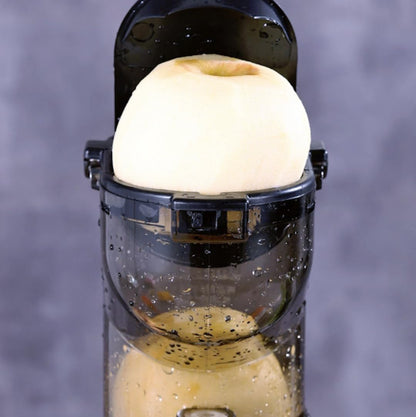 Juice Extractor 3-in-1 Slow Juicer Cold Press Juicer Machine Techmanistan