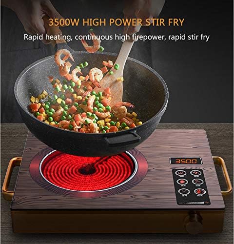 3500W Induction Hob, Portable Electric Induction Plate Techmanistan