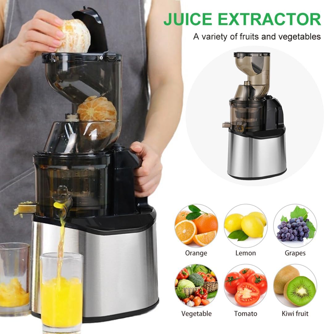 Juice Extractor 3-in-1 Slow Juicer Cold Press Juicer Machine Techmanistan
