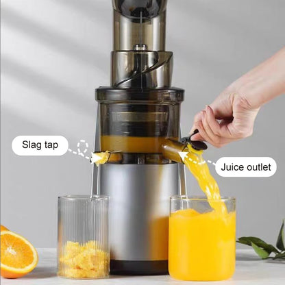 Juice Extractor 3-in-1 Slow Juicer Cold Press Juicer Machine Techmanistan