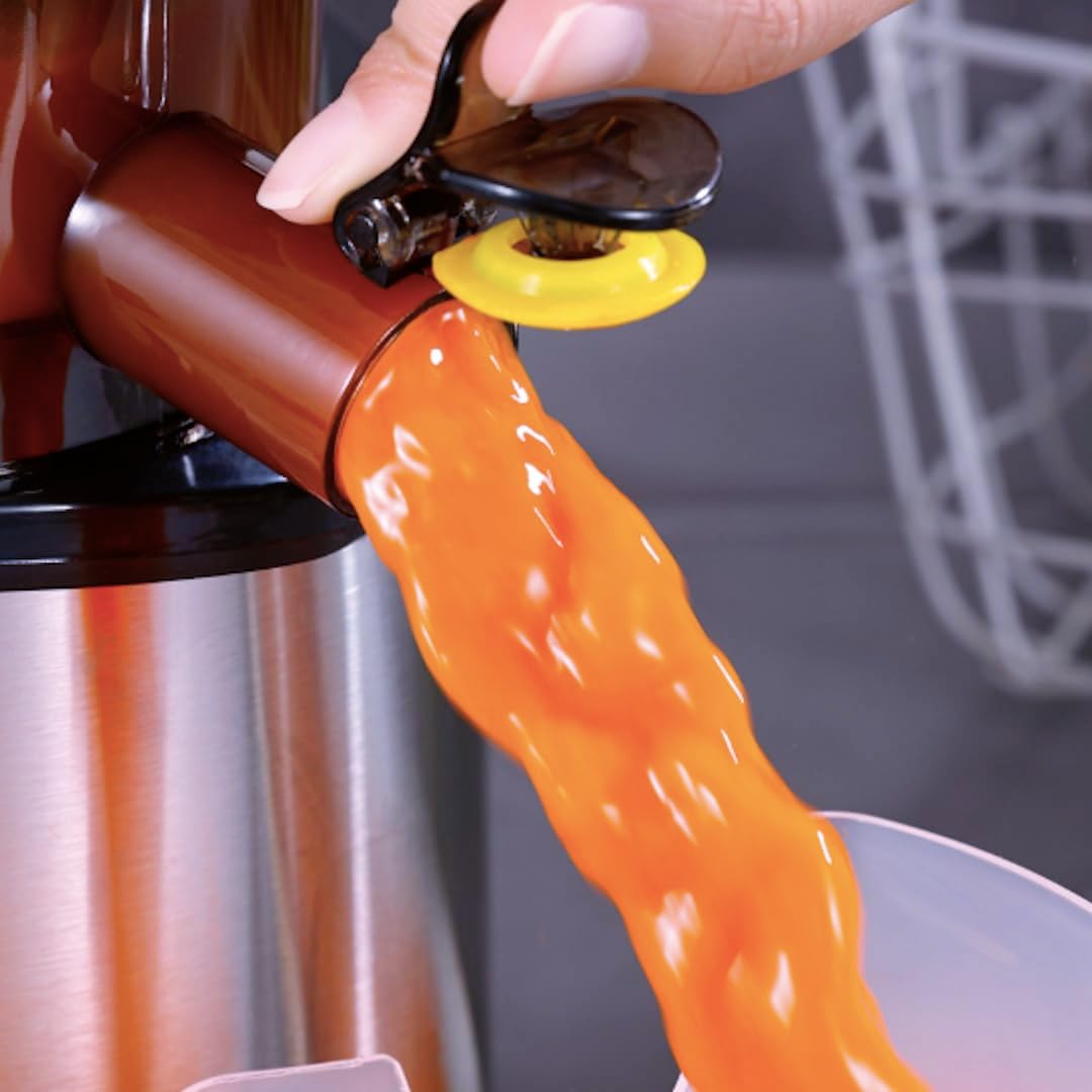 Juice Extractor 3-in-1 Slow Juicer Cold Press Juicer Machine Techmanistan