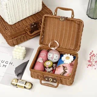 Plastic Rattan Storage Basket With Handle Suitcase Box Techmanistan