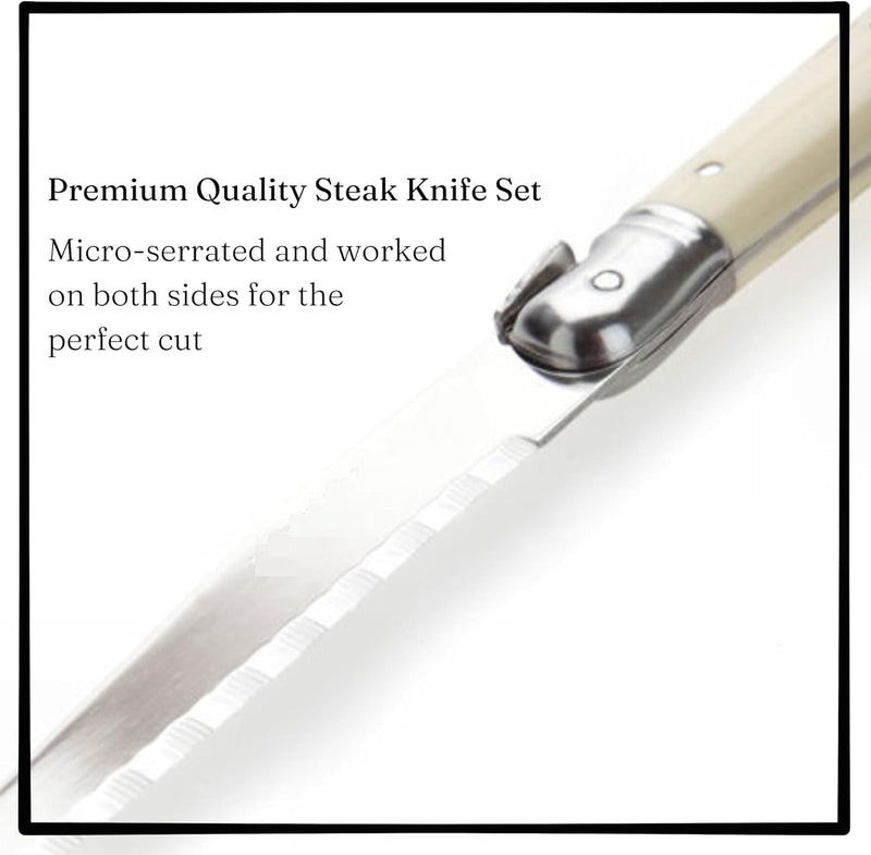 Stainless Steel Serrated Blade Steak Knife – Laguiole Style
