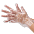 TPE Disposable Gloves – 100 Pieces