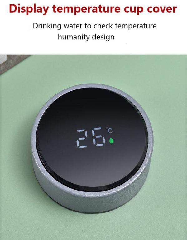 800ml Vacuum Insulated Temperature Display Water Bottle - Techmanistan in Pakistan