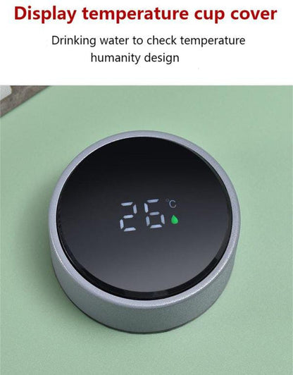 800ml Vacuum Insulated Temperature Display Water Bottle - Techmanistan in Pakistan