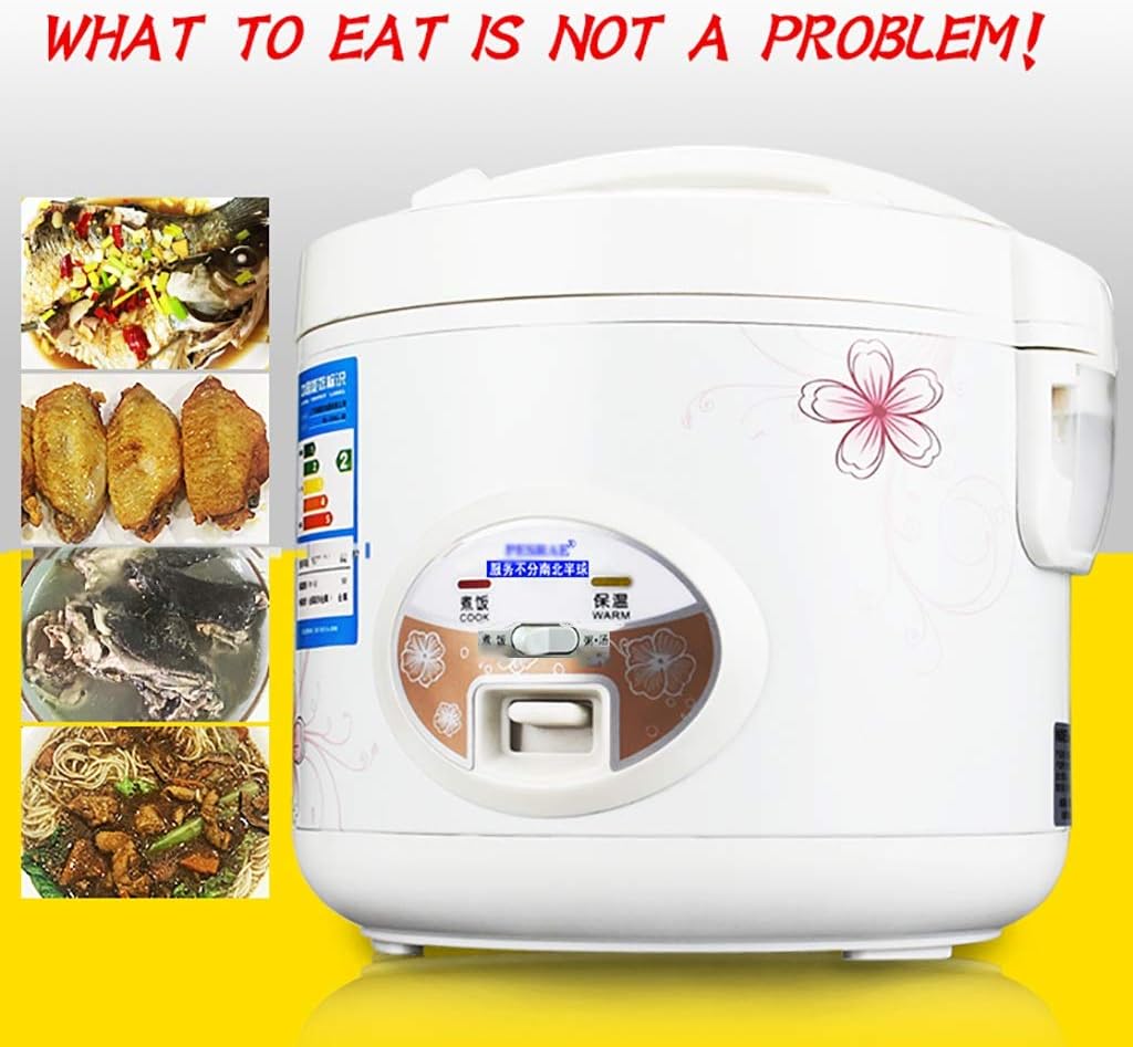 900W Electric Rice Cooker Steamer - Techmanistan in Pakistan