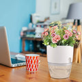Indoor Plastic Self Watering Flower Pot With Cotton Rope & Container For Water My Store