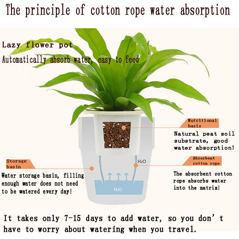Wall Hanging Self Watering Flower Pot, Indoor Plastic Planter With Cotton Rope & Hanging Stand, Stand & Container For Water, Self Watering Style Lazy Pot & Iron Stand My Store