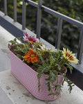 Oval Metal Bucket Planter – Hanging Garden Pot Techmanistan