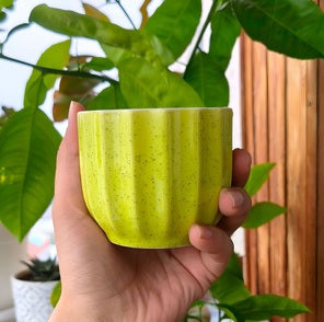 Ceramic Vase | Small Plant Pot
