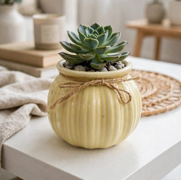 Ceramic Vase | Small Plant Pot