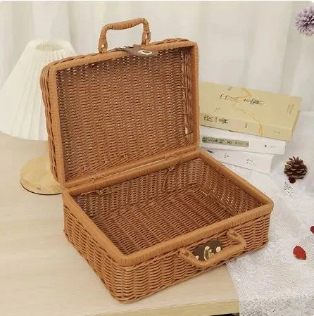 Plastic Rattan Storage Basket With Handle Suitcase Box Techmanistan