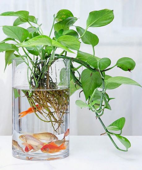 Acrylic Clear Cylinder Flower Vase - Techmanistan in Pakistan