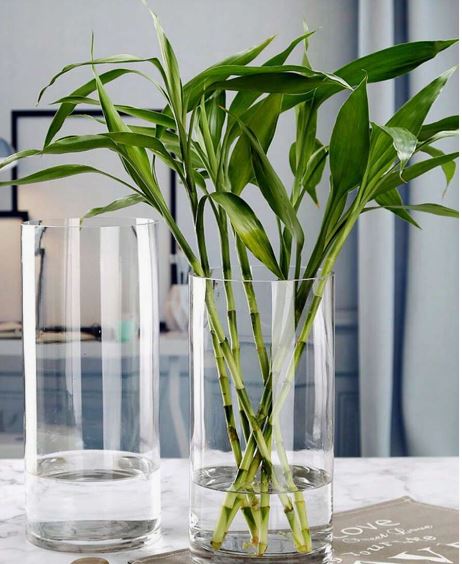 Acrylic Clear Cylinder Flower Vase - Techmanistan in Pakistan