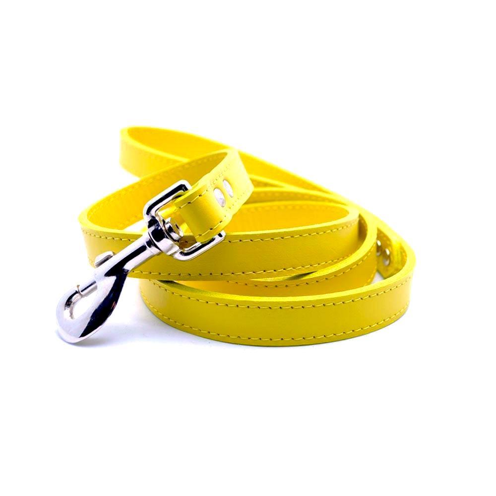 Faux Leather Leash with Collar Hook My Store
