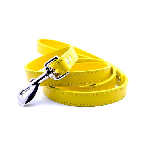 Faux Leather Leash with Collar Hook My Store