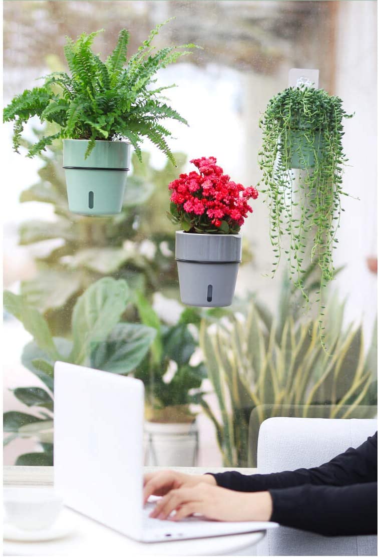 Wall Hanging Self Watering Flower Pot, Indoor Plastic Planter With Cotton Rope & Hanging Stand, Stand & Container For Water, Self Watering Style Lazy Pot & Iron Stand My Store