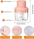 250 ML Mini Electric Garlic Chopper Techmanistan