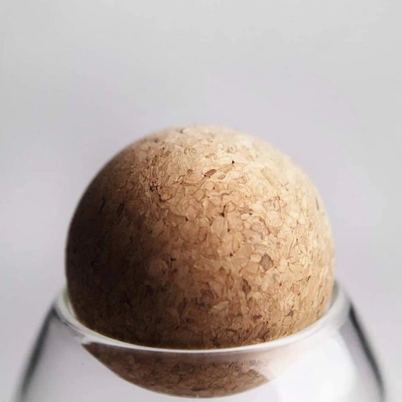 Clear Glass with Cork Ball Multipurpose Jar - Techmanistan in Pakistan