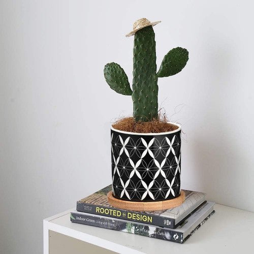 Cylindrical Mini Ceramic Succulent Planters with Bamboo Tray - Plants Pots - Techmanistan in Pakistan