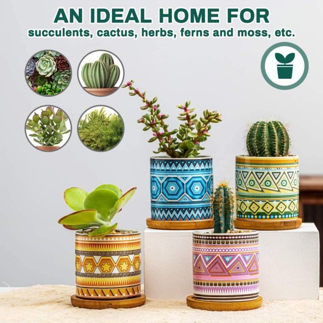 Cylindrical Mini Ceramic Succulent Planters with Bamboo Tray - Plants Pots - Techmanistan in Pakistan