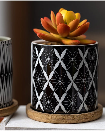 Cylindrical Mini Ceramic Succulent Planters with Bamboo Tray - Plants Pots - Techmanistan in Pakistan