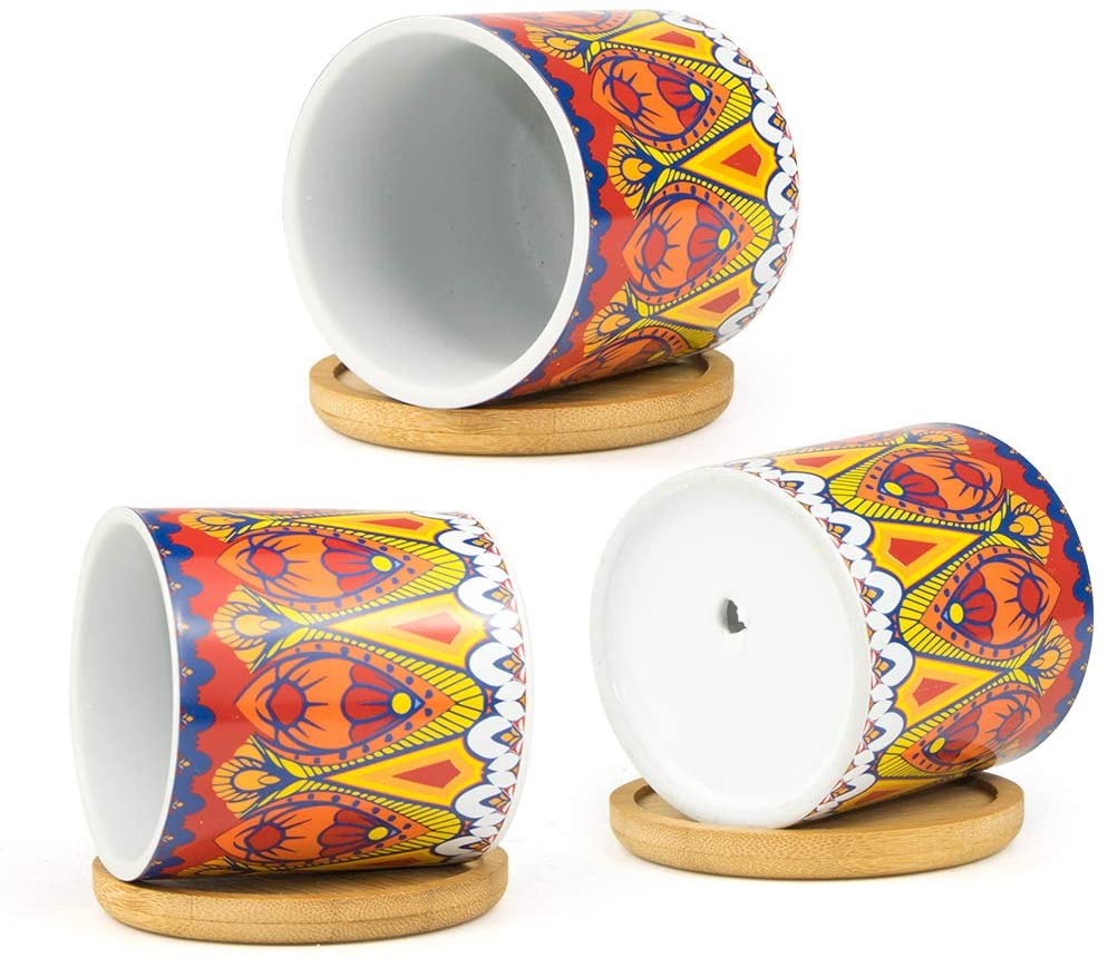 Cylindrical Mini Ceramic Succulent Planters with Bamboo Tray - Plants Pots - Techmanistan in Pakistan